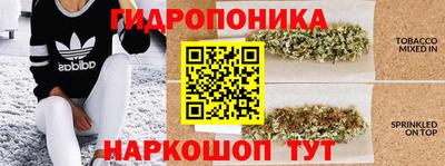 Альфа ПВП Пенза