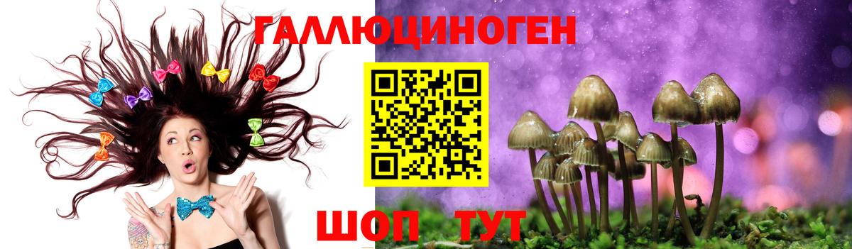 Псилоцибиновые грибы MAGIC MUSHROOMS  закладка  Родники  Вход с VPN 